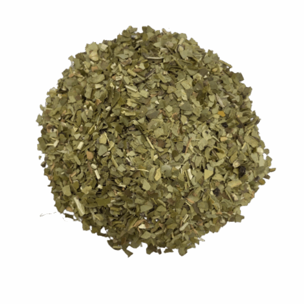Maté Épicé Bio