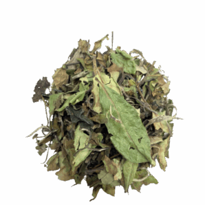 ThC3A9_Blanc_Premium-removebg-preview.png