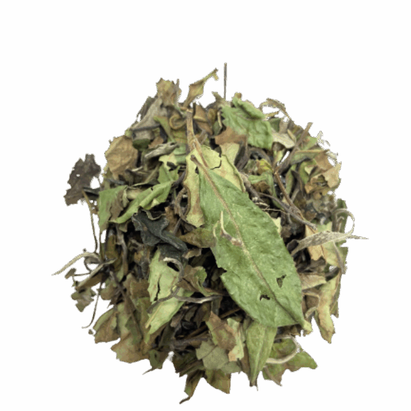 Pai Mu Tan - thé blanc bio - 100 gr