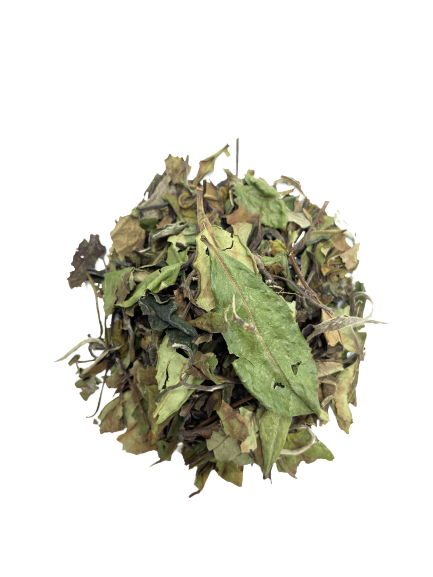 ThC3A9_Blanc_Premium-removebg-preview.png