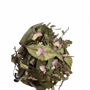 ThC3A9_Blanc_Rose-removebg-preview.png