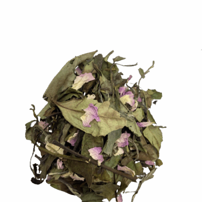 ThC3A9_Blanc_Rose-removebg-preview.png