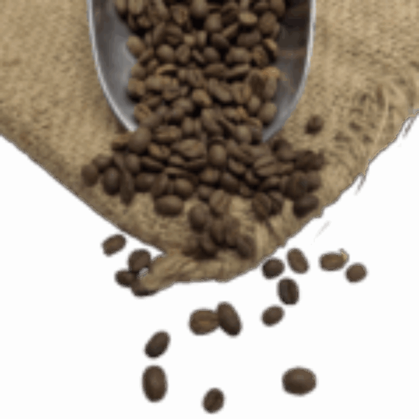 Café Vanille Bio