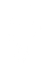 logophoenix-blanc